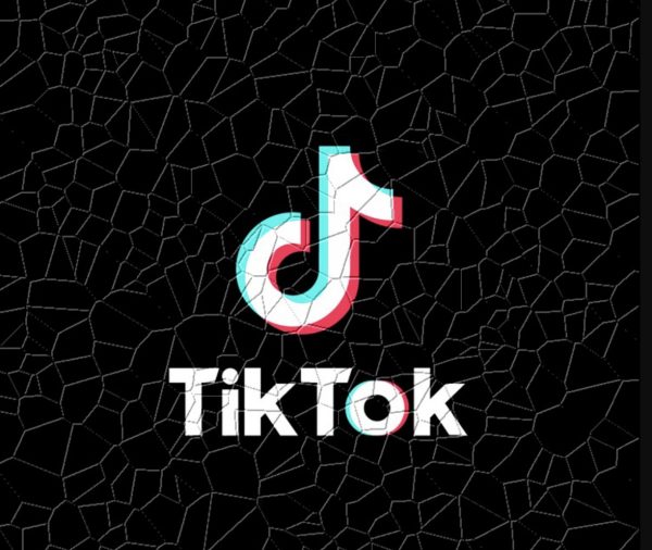 I Love TikTok - But it should be Banned